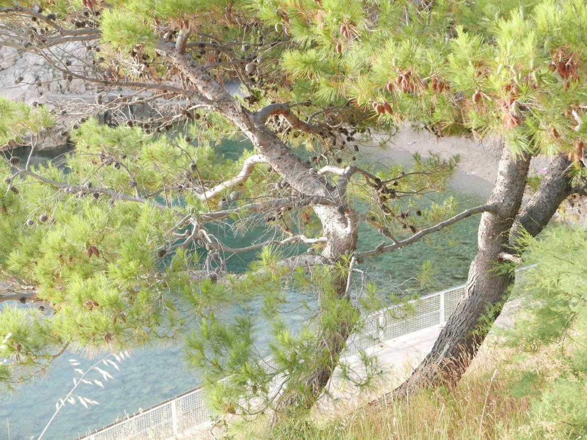Potocina 21 Διαμέρισμα Vrbnik Εξωτερικό φωτογραφία